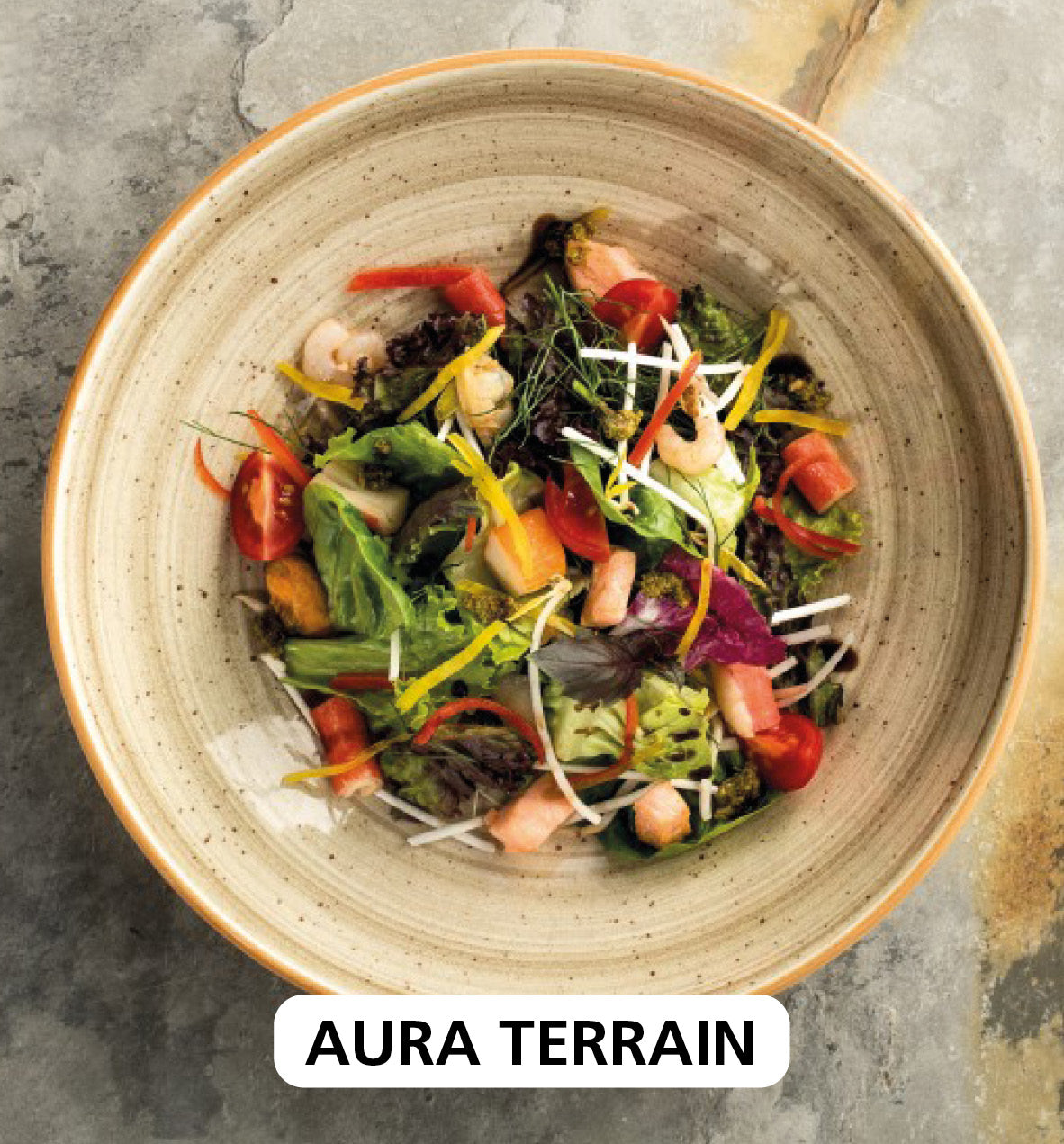 AURA TERRAIN